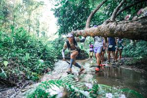 BIB: 
                            <button type="button" onclick="openModal(25444670)" class="btn btn-primary btn-sm float-right btn-popup" data-toggle="modal" data-target=".modal-high-quality">
                        <i class="fas fa-shopping-cart"></i> Add to Cart
                    </button>
                                            <button type="button" onclick="isThisMe(25444670, true)" class="btn btn-success btn-sm float-right btn-popup btn-isme hidden" data-toggle="tooltip" data-placement="bottom" title="นี่คือรูปของคุณใช่ไหม คลิกที่นี่เพื่อเอาเข้าอัลบั้ม">
                        <i class="fas fa-plus"></i> Add to album
                    </button>
                    <button type="button" onclick="isThisMe(25444670, false)" class="btn btn-warning btn-sm float-right btn-popup btn-isnotme hidden">
                        <i class="fas fa-ban"></i> Remove from album
                    </button>